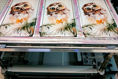 Двух не хватает, ставим третий Mimaki UJF-3042 MkII